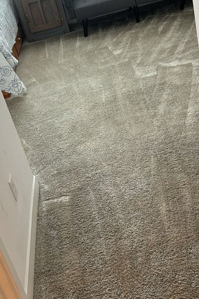 Carpetify - Carpet Cleaning