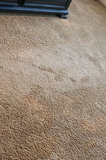 Carpetify - Carpet Cleaning